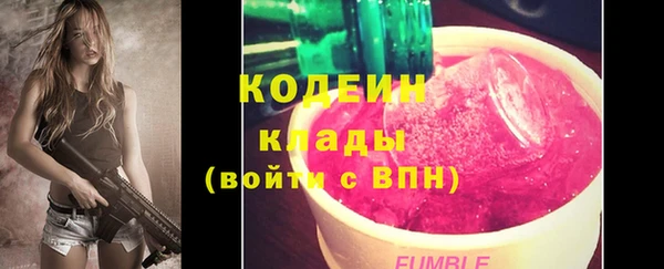крисы Надым