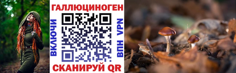 Псилоцибиновые грибы мухоморы  сколько стоит  Ленинск 
